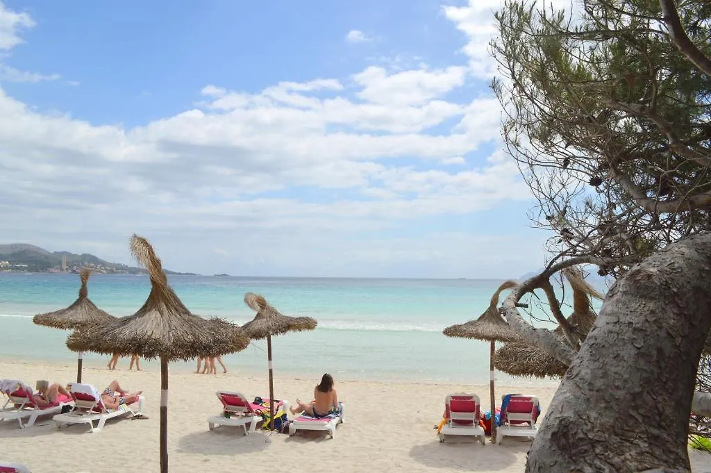 Affittacamere Hostal Brisa Marina Port de Alcudia